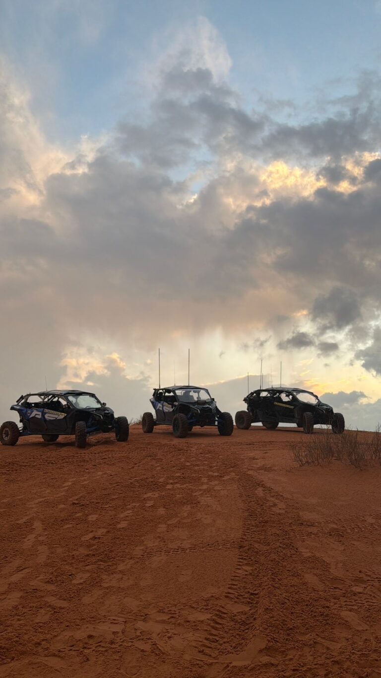 Whatsapp Image 2025 12 12 At 2 16 26 Pm